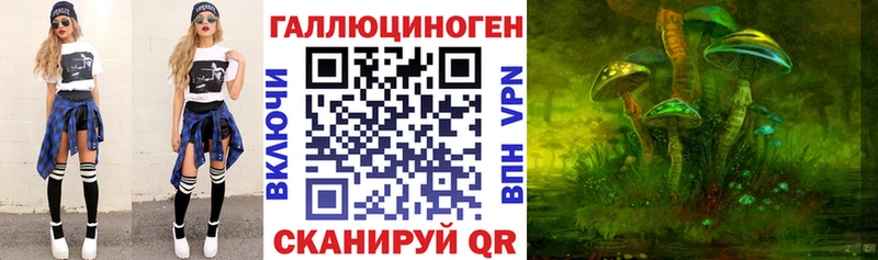 KRAKEN зеркало  Дальнереченск  Галлюциногенные грибы Magic Shrooms 