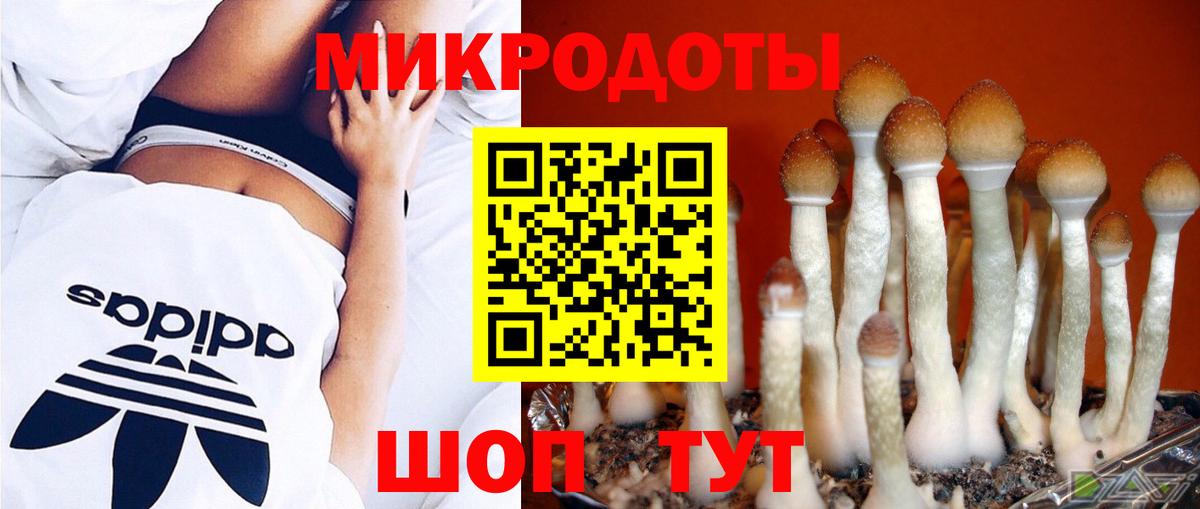 Дальнереченск  Галлюциногенные грибы ЛСД  Вход с VPN 